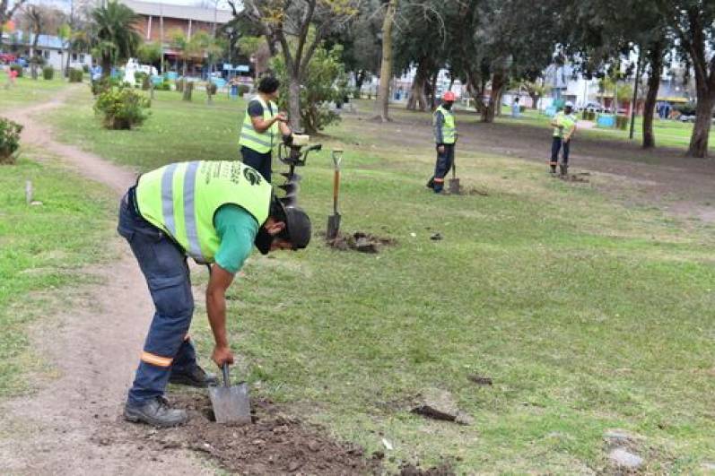 En Garín, la Municipalidad continúa el Plan de Arbolado Urbano de Escobar con la plantación de 160 árboles