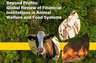 Instituciones financieras no están alineadas con el bienestar animal y la sostenibilidad de sistemas alimentarios, revela informe