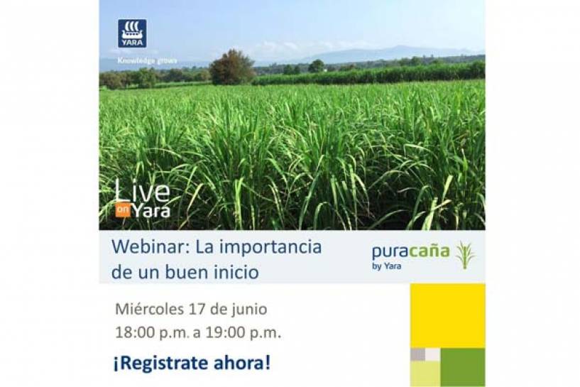 Yara organiza un seminario online sobre el futuro de la caña de azúcar