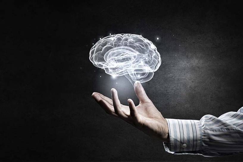 Día Mundial del Cerebro: potenciando la salud cerebral a través de la neuroplasticidad