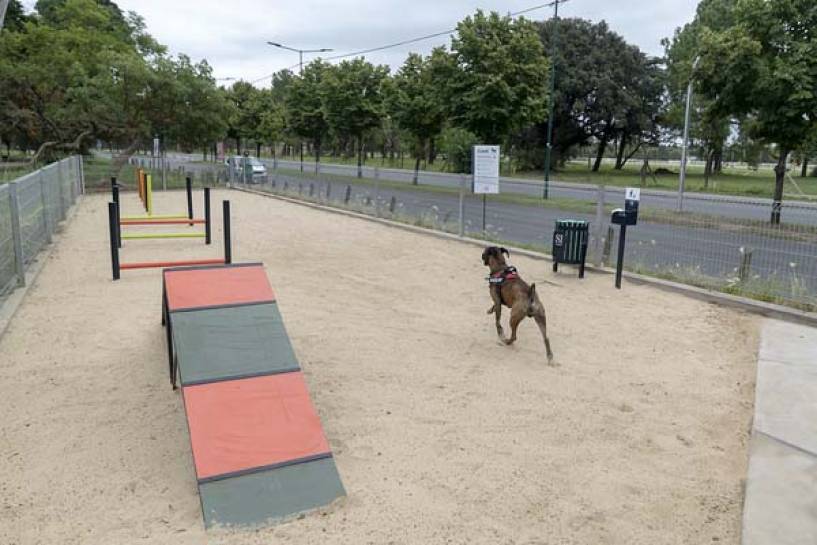 San Isidro inauguró su segundo espacio de juegos para perros