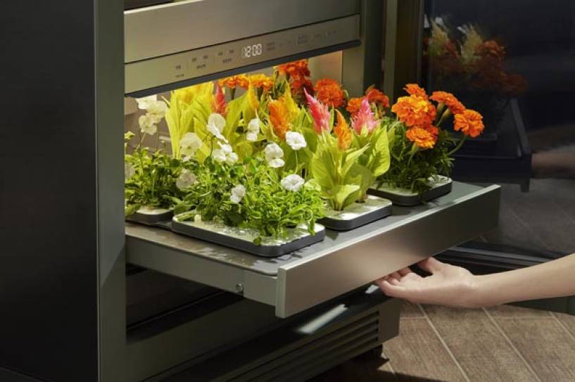 Electrodomésticos de jardinería interior de LG presentan un concepto moderno para una vida en el hogar más verde y saludable