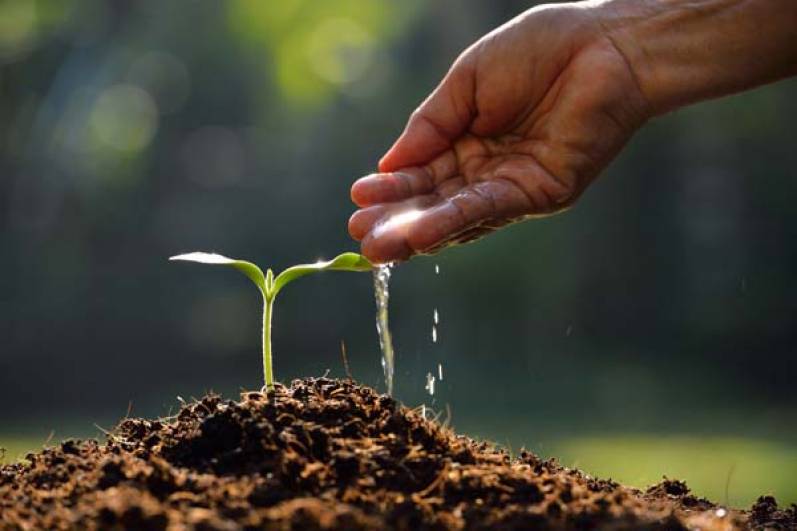 Yara lanzó una alianza global que apunta a “descarbonizar” la agricultura y generar una nueva fuente de ingresos para los productores