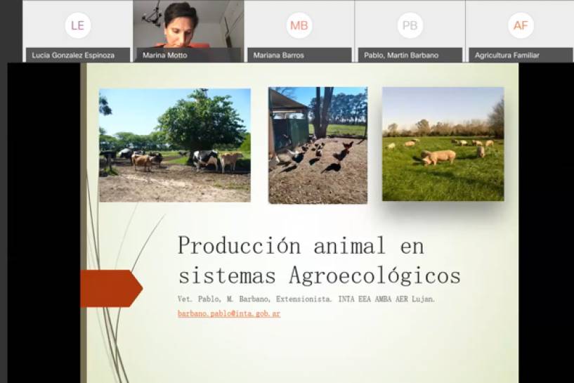 INTA AMBA participó de la capacitación virtual &quot;Agroecología en la producción animal&quot;