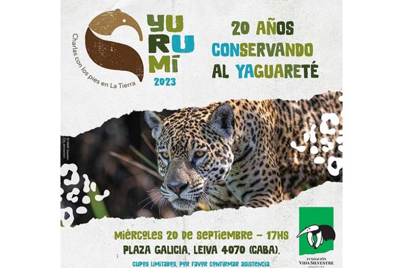 Llega Yurumí 2023, el evento anual de Fundación Vida Silvestre Argentina