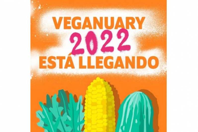 Oferta vegana en aumento: más de 80 empresas se suman a Veganuary 2022