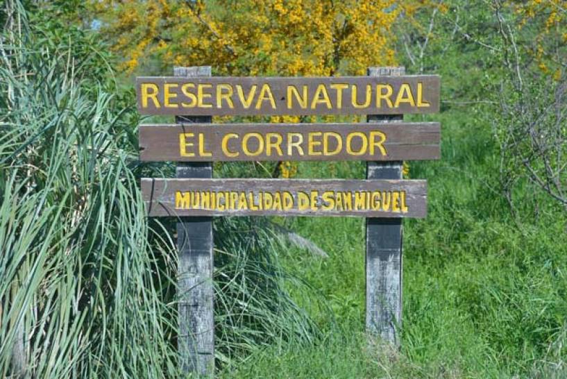 Con una gran plantación colectiva, se celebró el 5to aniversario de la Reserva Natural de San Miguel