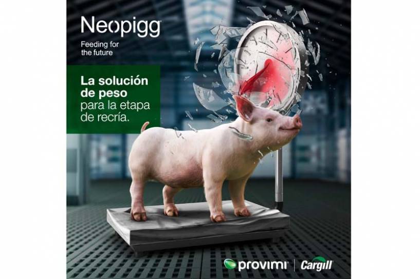 PROVIMI presenta Neopigg® nueva generación, más kilos en menos tiempo para la recría de cerdos