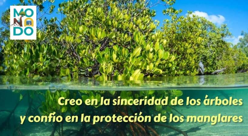 Aprende cómo la República Dominicana se apoya en los manglares para mitigar el cambio climático