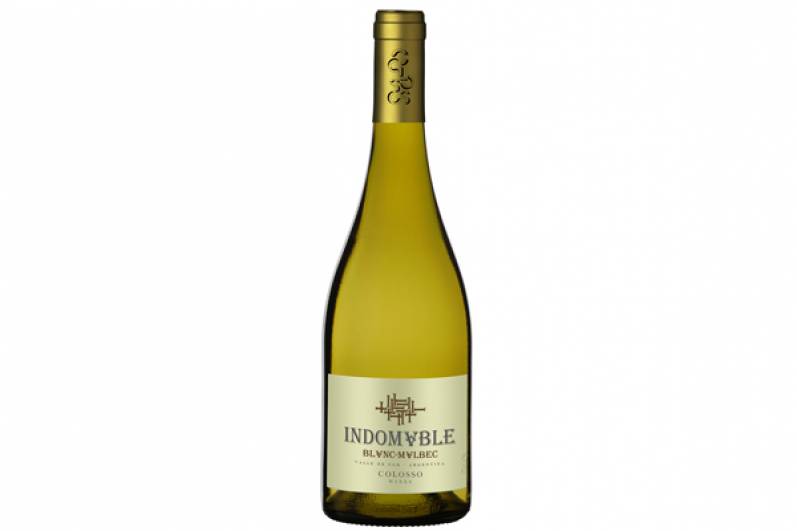 Colosso Wines presenta “Indomable”, su nueva línea de vinos y espumantes