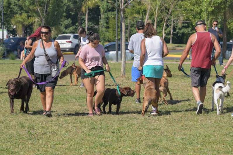 San Fernando inició un nuevo Taller Municipal de Adiestramiento de perros