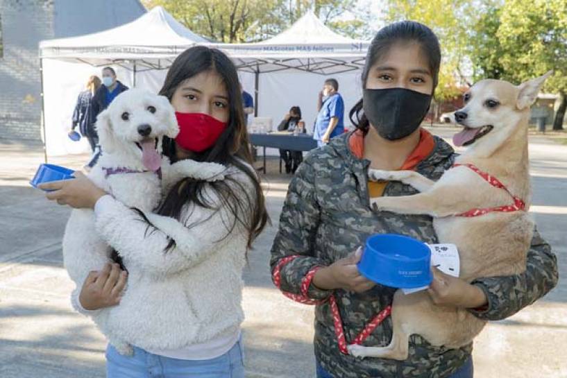 San Isidro: Dónde vacunar mascotas esta semana