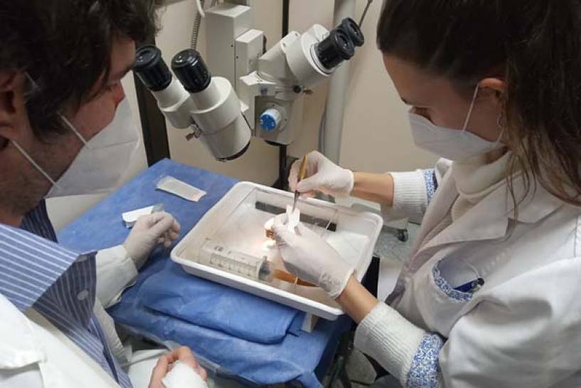 San Isidro: Nuevo equipo simulador de cirugías oftalmológicas