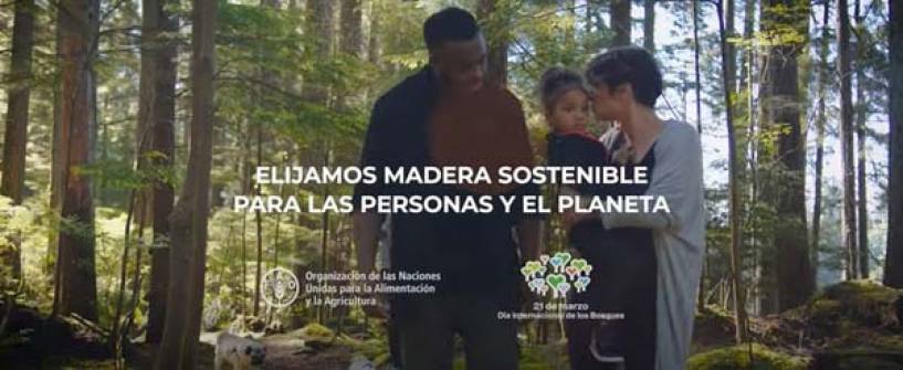 21 de marzo – Día Internacional de los Bosques: AFoA se suma al mensaje de fao para elegir madera y proteger los bosques