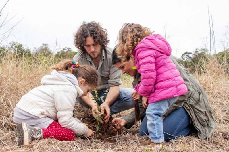 Banco Galicia trabaja en la restauración y conservación ambiental de la Selva Atlántica en la provincia de Misiones