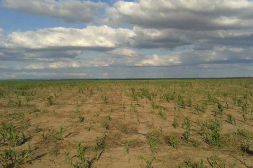 La sequía impacta en los productores, las comunidades y el país