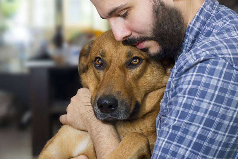 Puppis: ¿Cuándo se considera a un perro “senior” y qué cuidados especiales hay que brindarles?