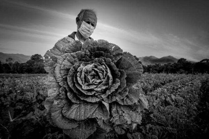 New Holland presenta a los ganadores del Premio de Fotoperiodismo