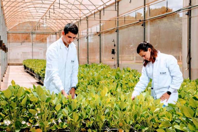 BASF impulsa la innovación para una agricultura cada vez más sustentable