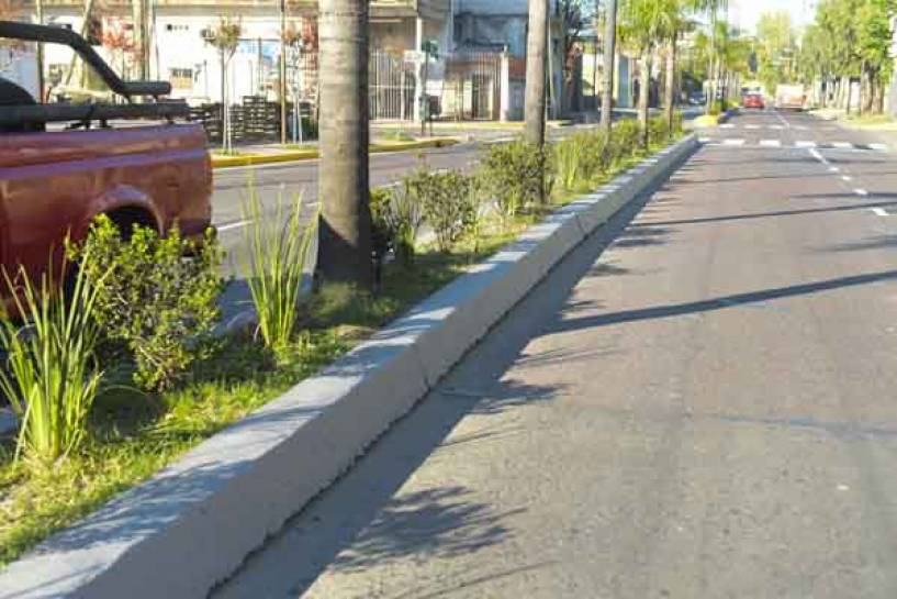 El Municipio continúa la parquización y el mantenimiento de las avenidas de San Fernando
