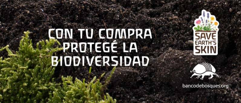 Weleda y Fundación Banco de Bosques se unen para proteger la biodiversidad