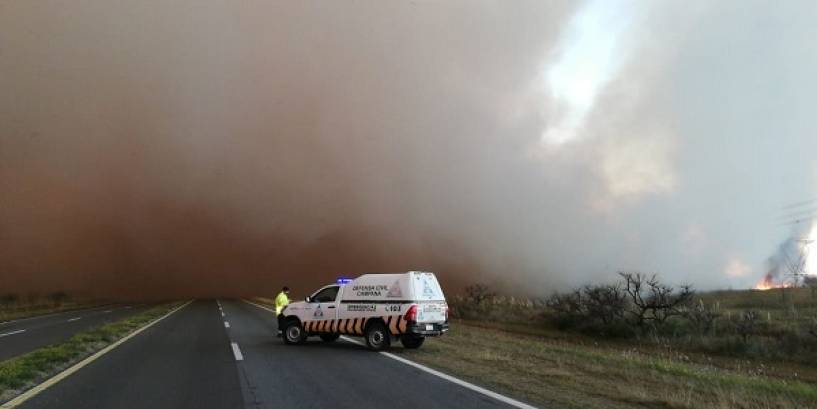 Declaran la emergencia ambiental por las quemas de pastizales en el Delta del Paraná