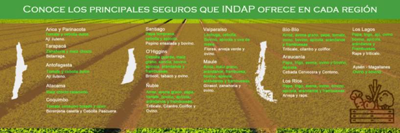 INDAP invita a pequeños agricultores a acceder a seguro agropecuario con subsidio estatal