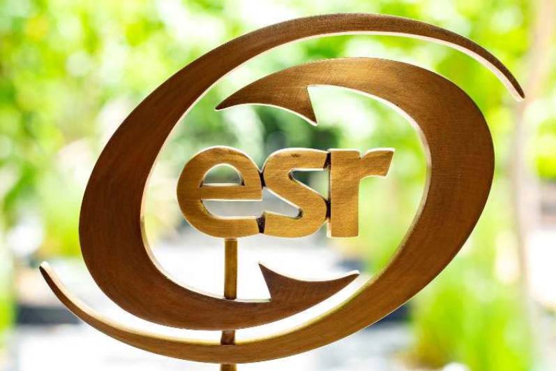 Empresa ecológica y socialmente responsable: Ethan Allen reconocida por cuarto año consecutivo