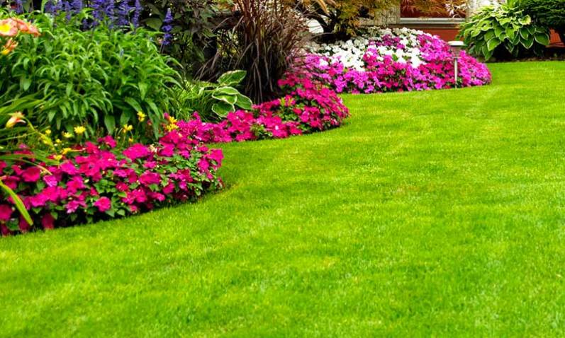 Hermosas ideas para decorar el jardín en verano