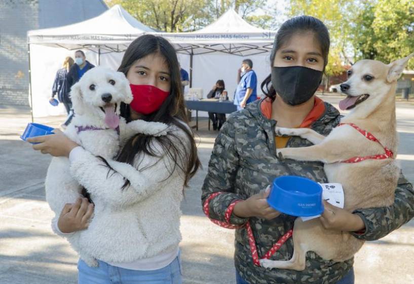 San Isidro: Dónde vacunar gratis mascotas contra la rabia