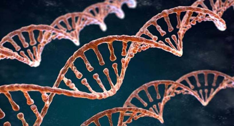 Mitos y verdades sobre las pruebas de ADN