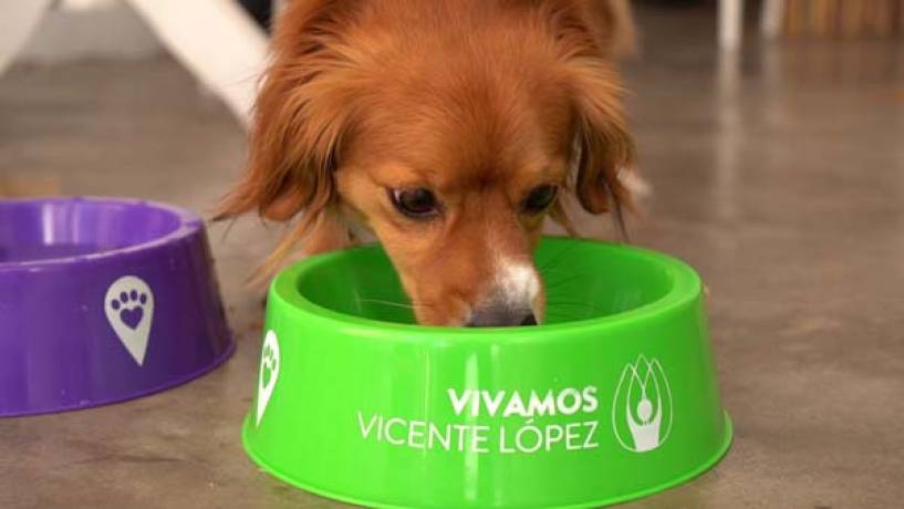 Cada vez son más los comercios Pet Friendly en Vicente López