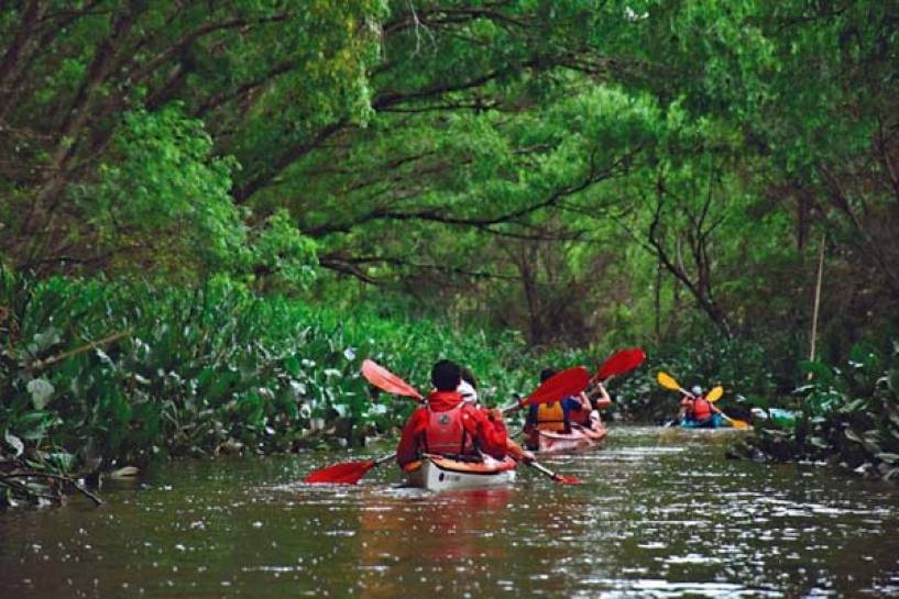 Verano 2021: Tigre brinda recomendaciones para navegar y disfrutar del Delta de forma segura