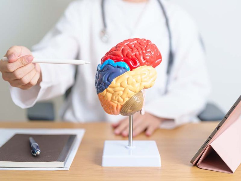 Enfermedad de Alzheimer: se estima que su incidencia se triplicará para 2050. Avances en su prevención