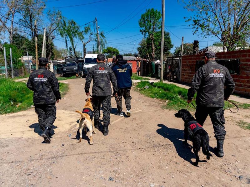 En un espectacular operativo, se desmantelaron cuatro bunkers de droga en Garín