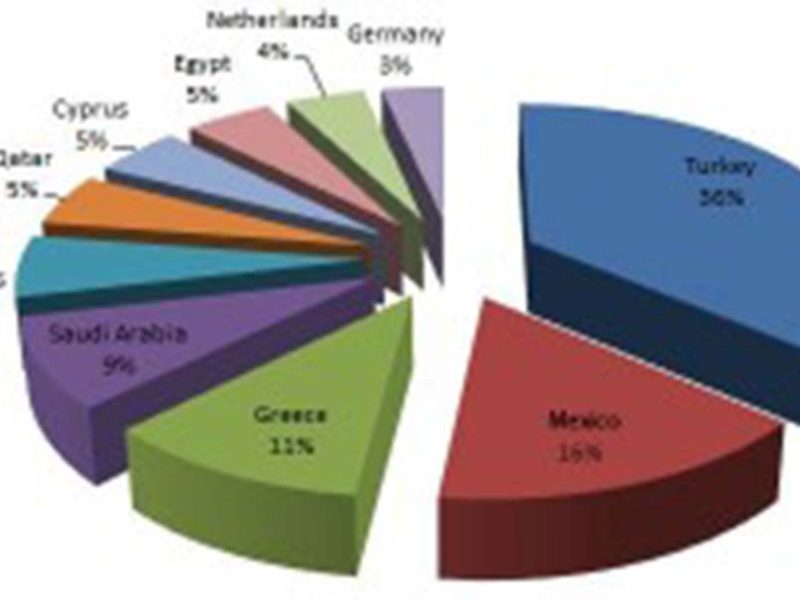 Datos interesantes sobre la industria íntima mundial