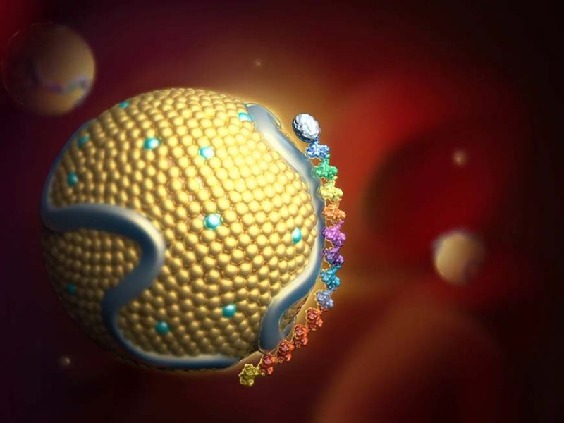 Estudio de Cleveland Clinic Descubre que Nuevo Fármaco Puede Reducir la Lp(a), un Factor de Riesgo de la Enfermedad Cardíaca, en más de un 80%