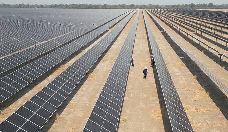 Telecom refuerza su compromiso ambiental con energía solar suministrada por MSU Green Energy