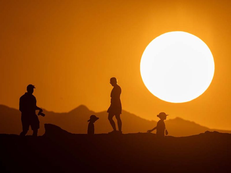 Dia de la Tierra 2025: Un llamado global a la acción ambiental