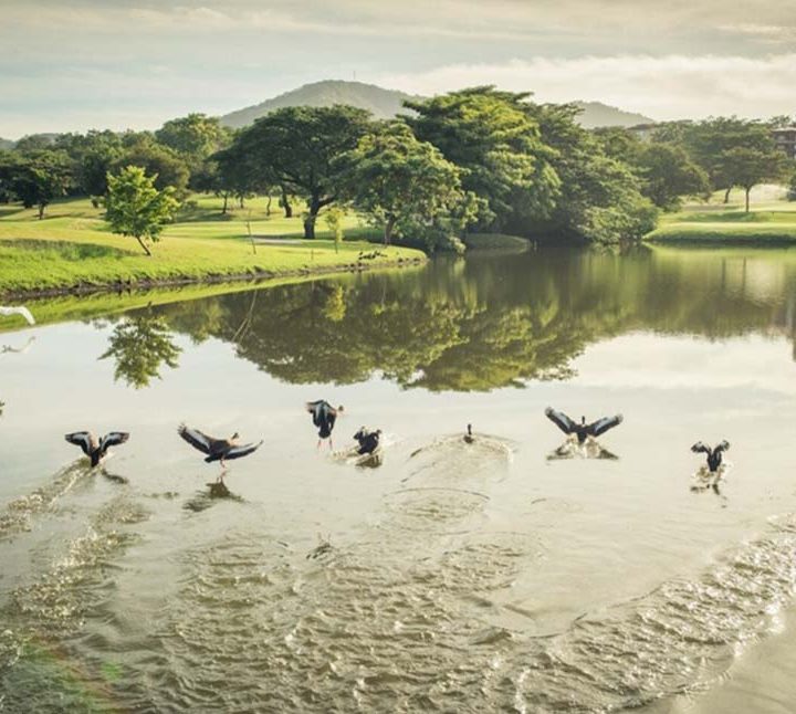 El 85% de los turistas prefiere prácticas sustentables y más de 200 hoteles en la región están preparados para recibirlos