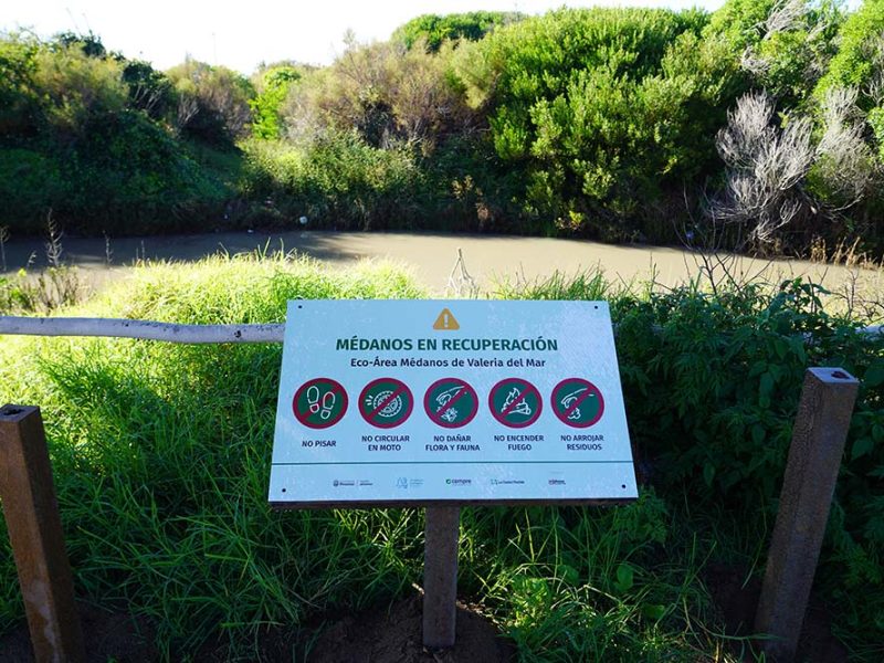 Pinamar estrena área protegida para cuidar sus médanos y el mar