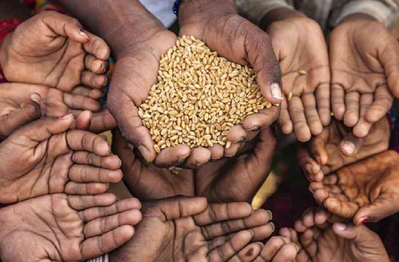 El hambre no espera: Bancos de Alimentos Argentina convoca a la sociedad a redoblar esfuerzos para combatir el desperdicio de alimentos