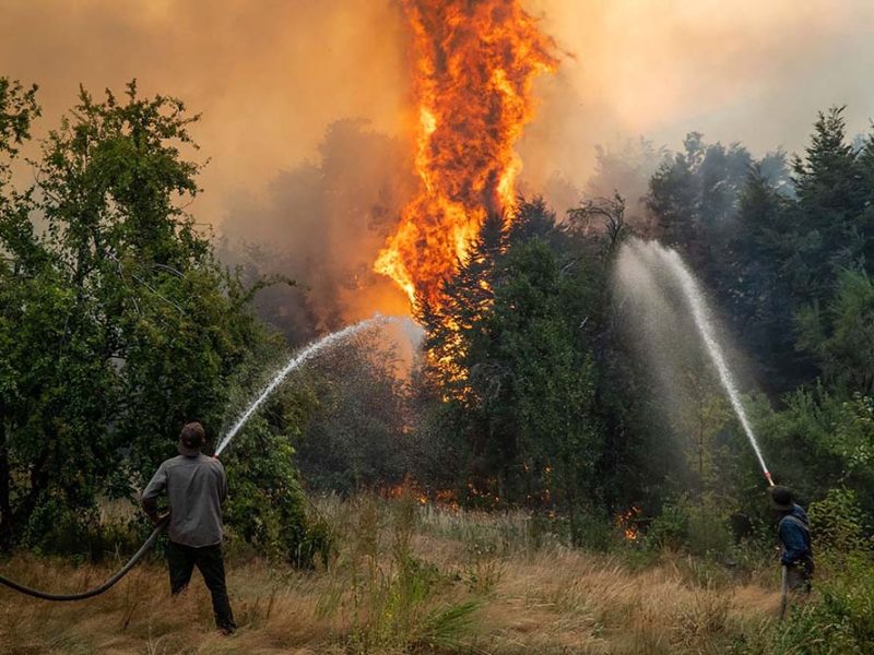 Se cuadruplicó la superficie de bosques patagónicos afectada por incendios forestales