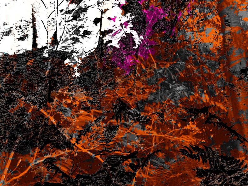 Mirta Gendin inaugura la exposición “Paisajes intangibles” en el Consulado Argentino en Nueva York