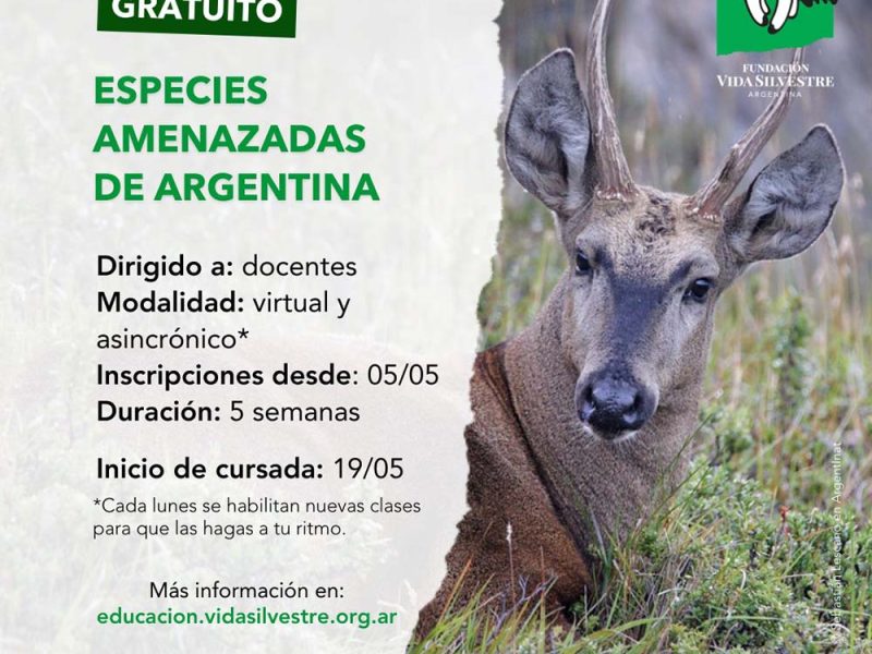 Fundación Vida Silvestre Argentina lanza un curso gratuito para docentes sobre “Especies amenazadas de Argentina”