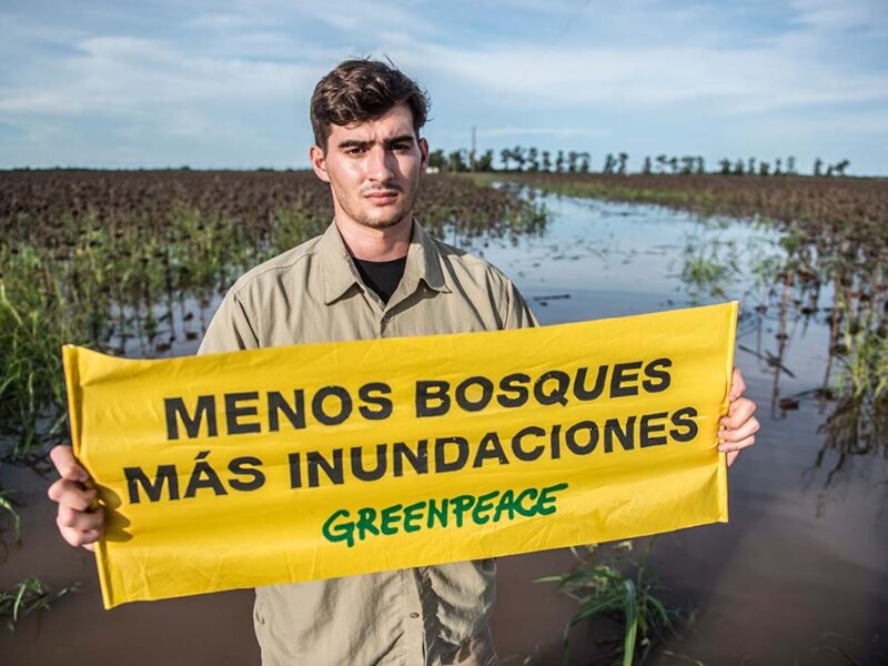 Día del Ambiente: La naturaleza como aliada frente a la crisis climática global
