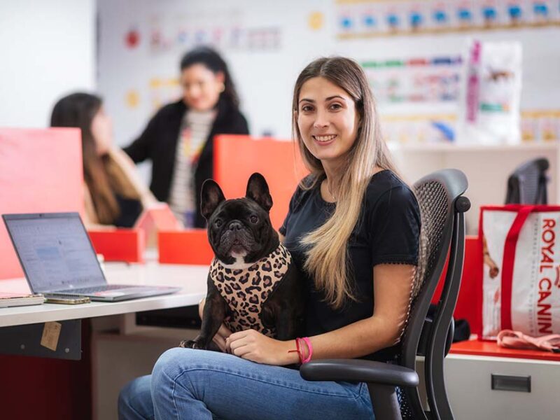 Oficinas pet friendly: trabajar con tu mascota es un hecho