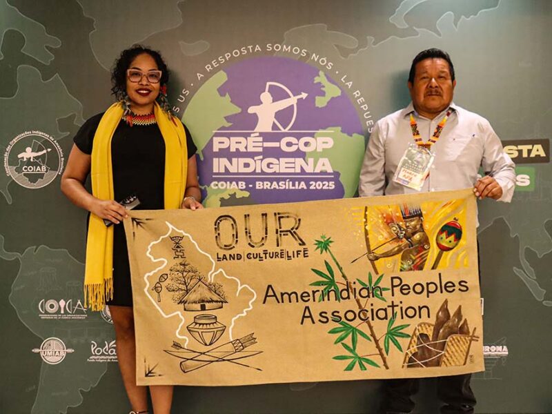 Pré-COP Indígena, antesala de la COP30, presenta propuesta climática inédita en LatAm y denuncia retrocesos ambientales en Brasil