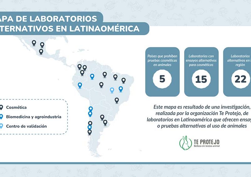 Más de 20 laboratorios de métodos alternativos ya operan en América Latina y dan esperanzas de una ciencia sin animales en la región