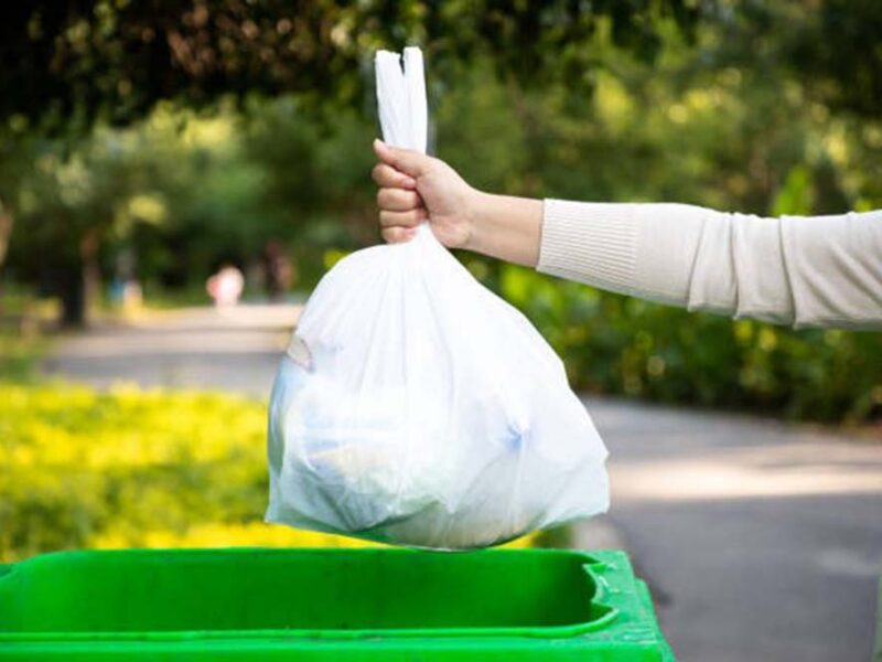 Bolsas Plásticas: transformar los residuos en recursos para una economía circular